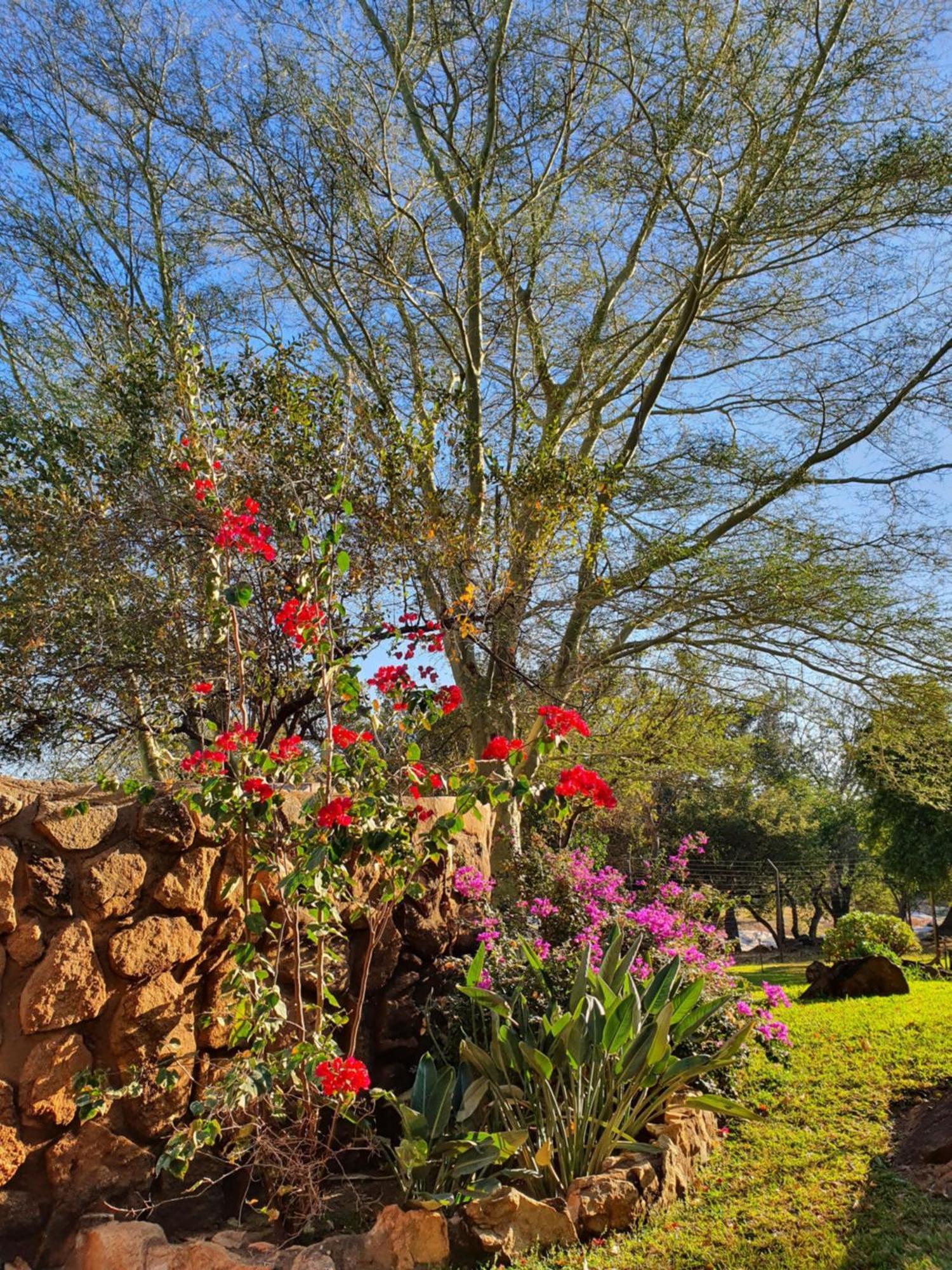 Hasekamp Family Bush Lodge Hoedspruit Dış mekan fotoğraf