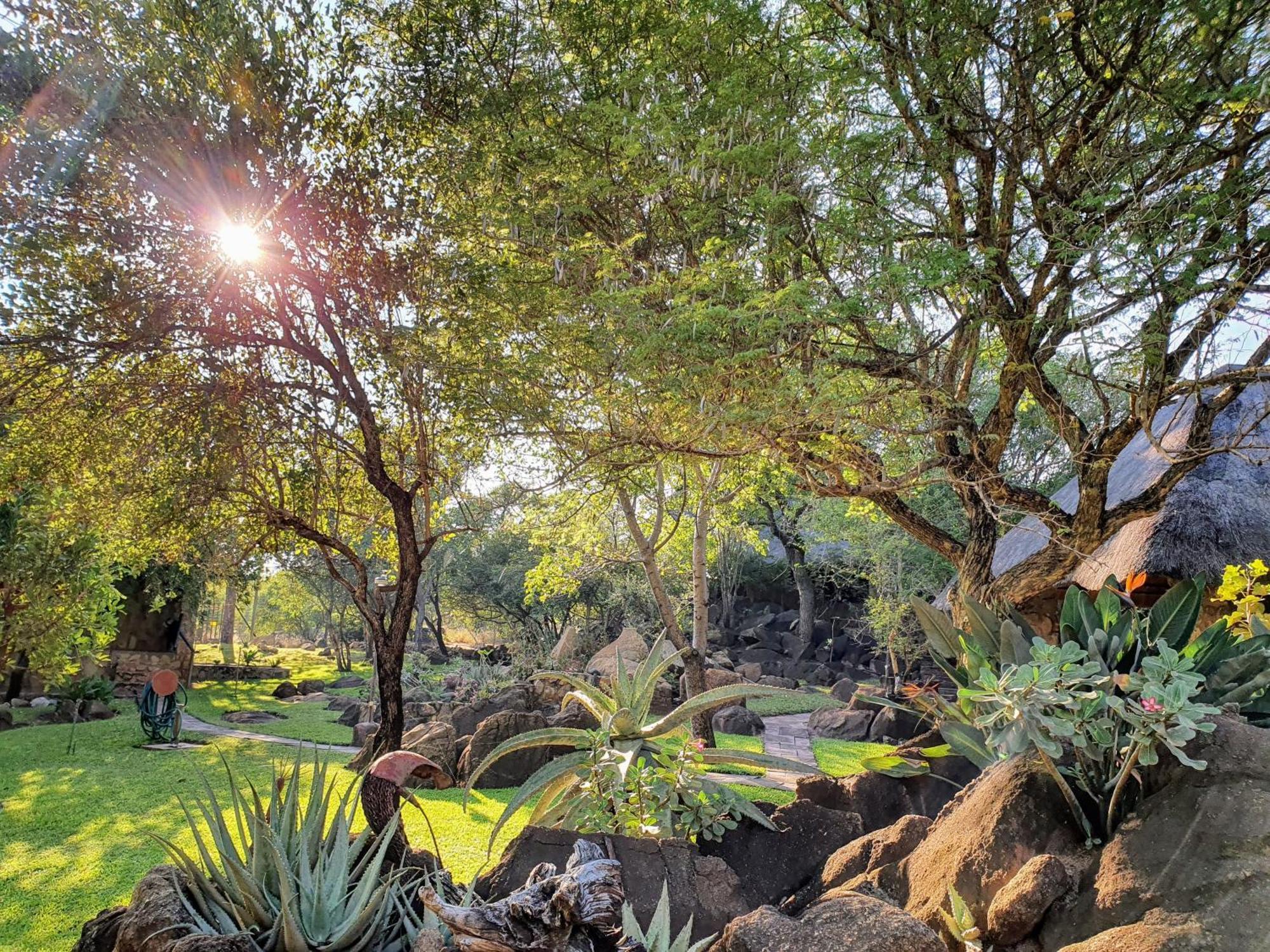 Hasekamp Family Bush Lodge Hoedspruit Dış mekan fotoğraf