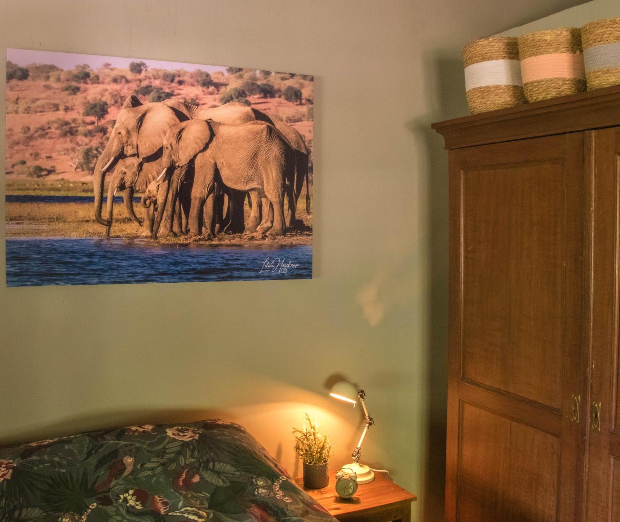 Hasekamp Family Bush Lodge Hoedspruit Dış mekan fotoğraf