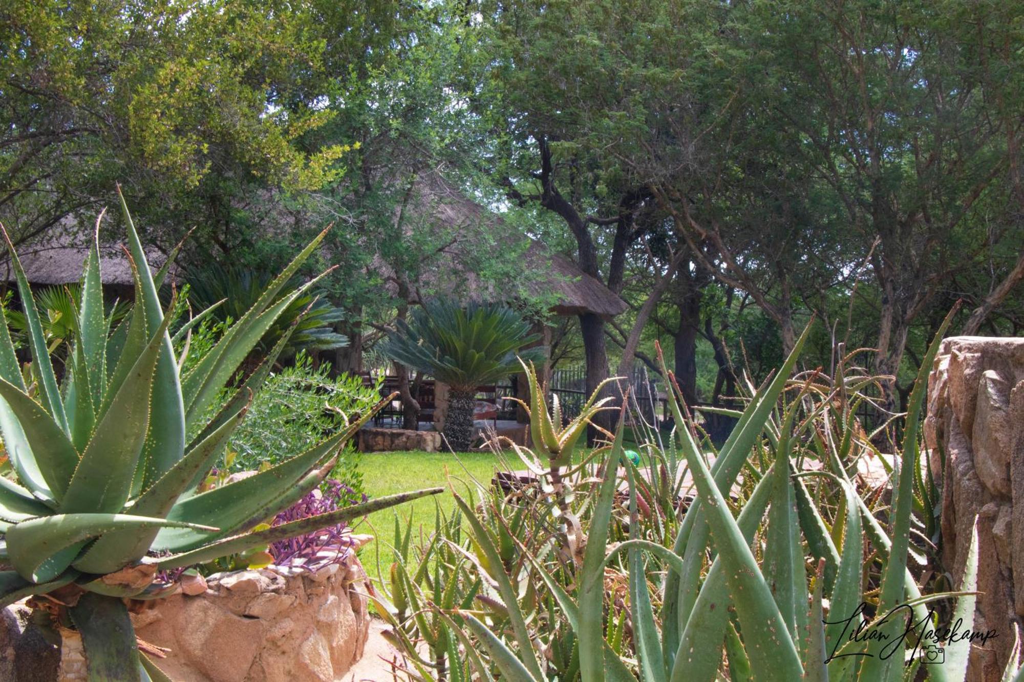 Hasekamp Family Bush Lodge Hoedspruit Dış mekan fotoğraf