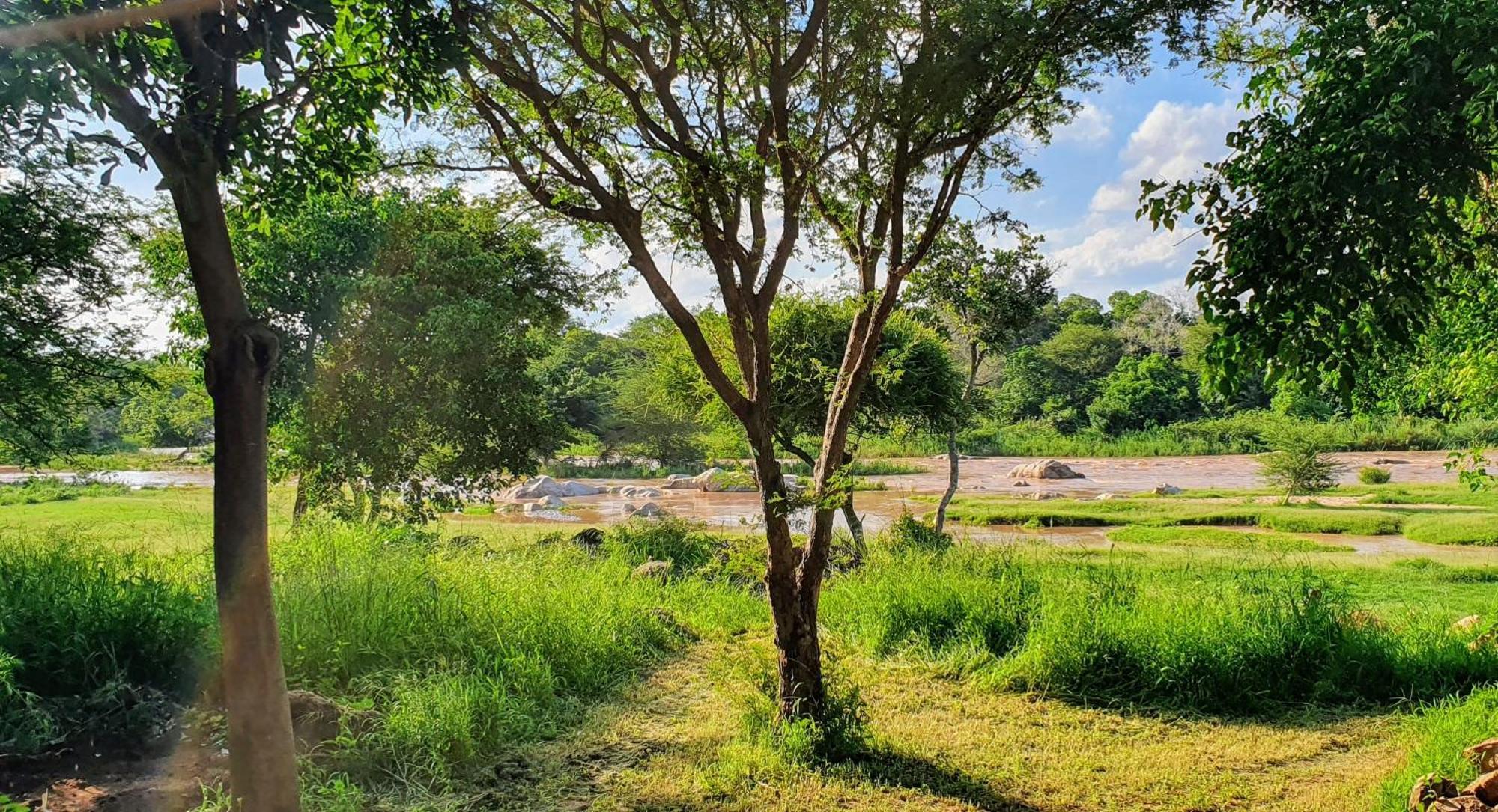 Hasekamp Family Bush Lodge Hoedspruit Dış mekan fotoğraf