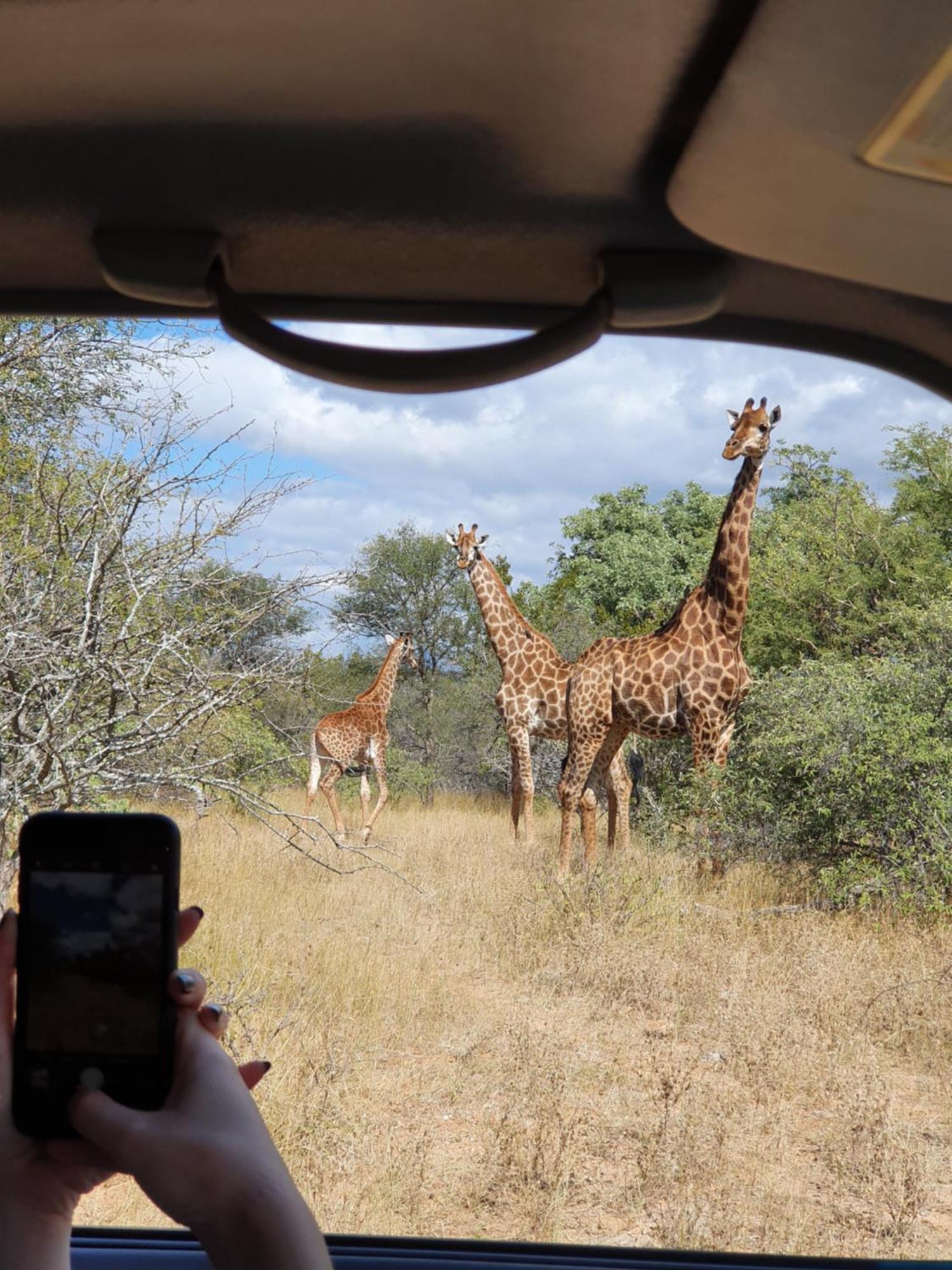 Hasekamp Family Bush Lodge Hoedspruit Dış mekan fotoğraf