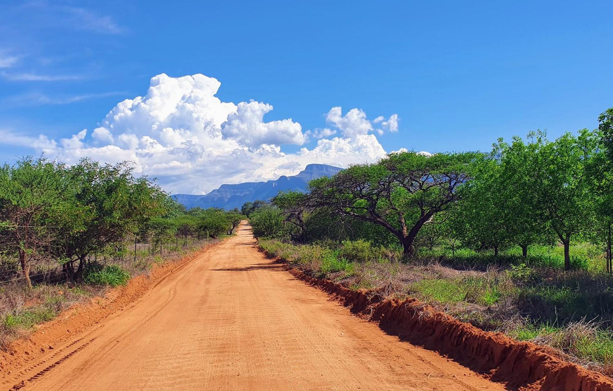 Hasekamp Family Bush Lodge Hoedspruit Dış mekan fotoğraf